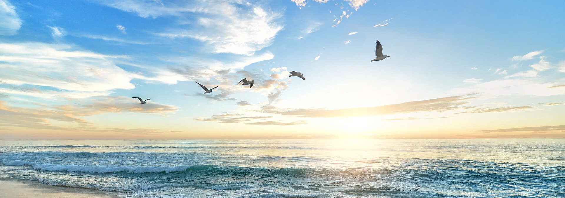 Vögel fliegen über das Wasser während des Sonnenuntergangs.