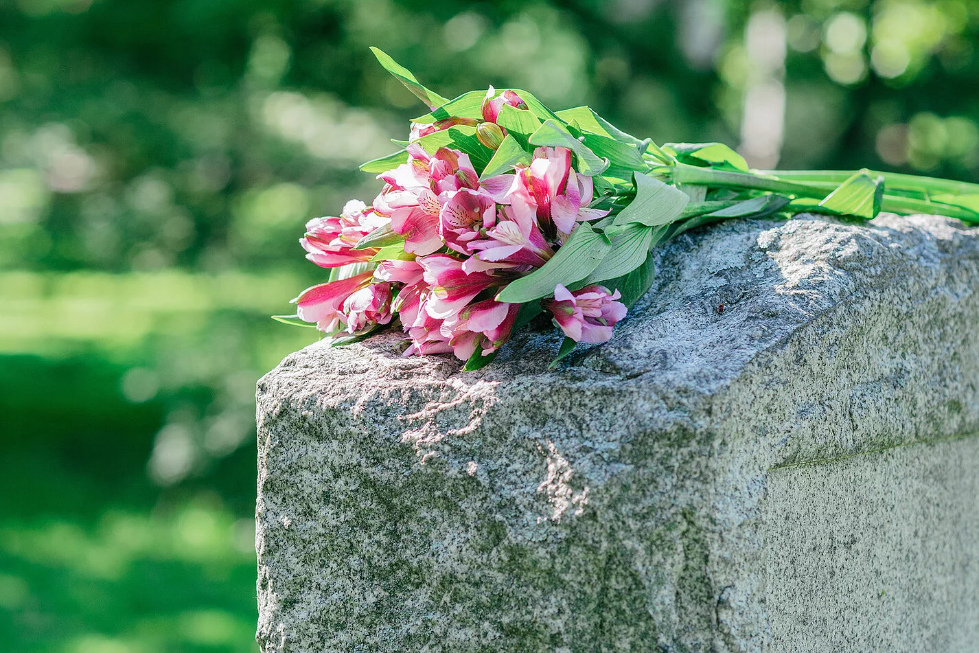 Grabstein auf dem ein Straus Blumen mit pinken Blüten liegt.